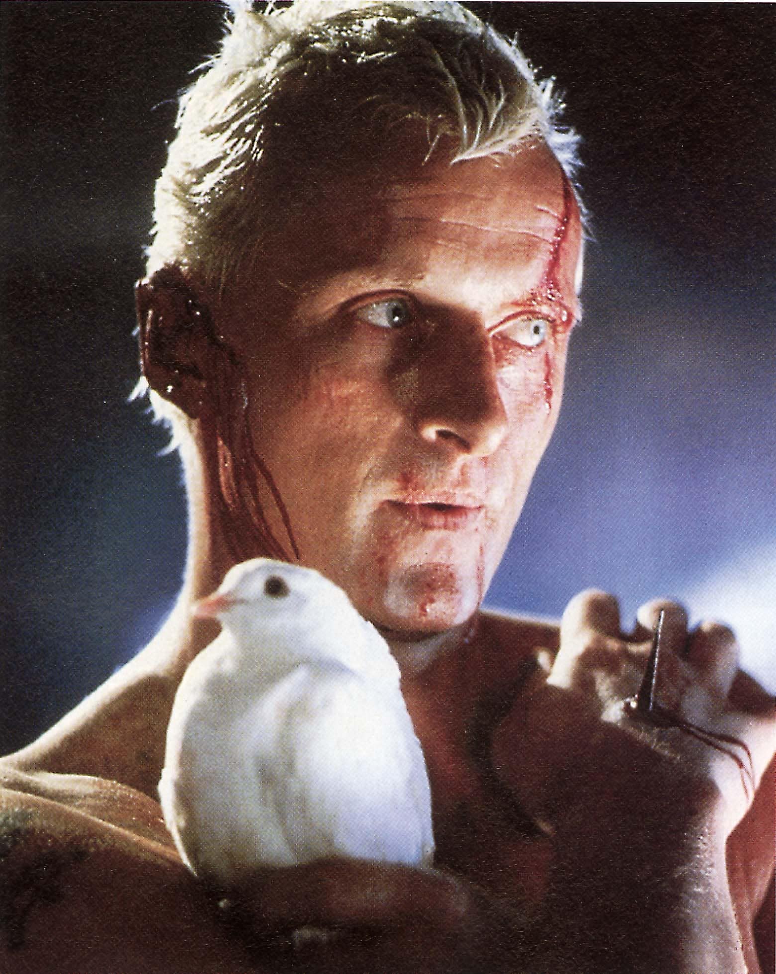 «Nuestras lágrimas en la lluvia por Rutger Hauer»