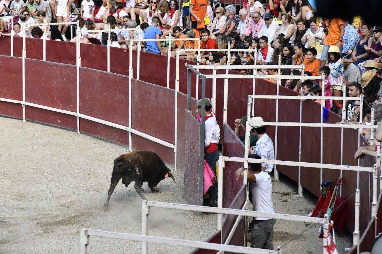 Fotos: Becerrada de la fiesta de los quintos en San Rafael