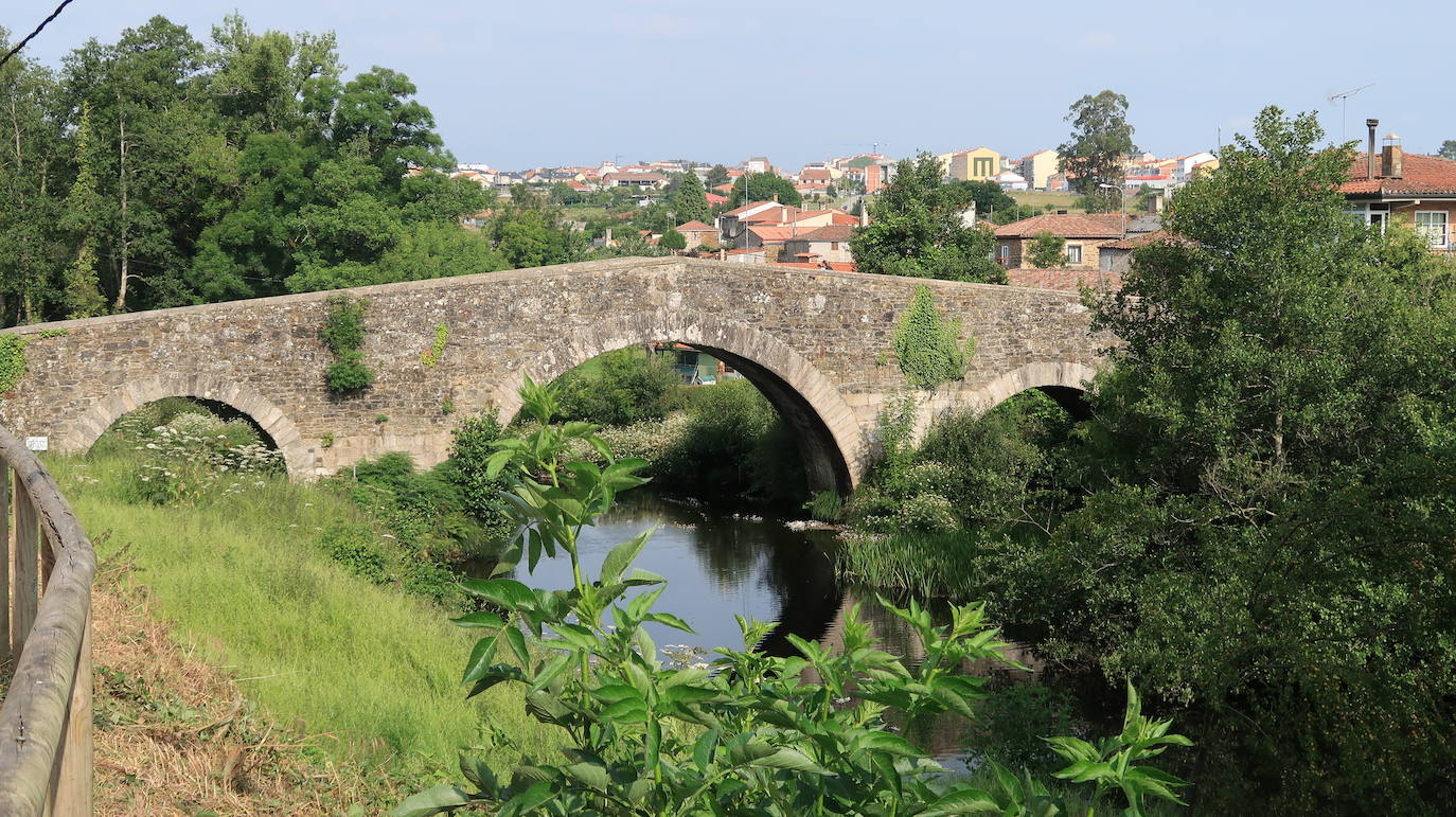 Naturaleza, cultura y amistad convergen en la peregrinación hacia Santiago de Compostela