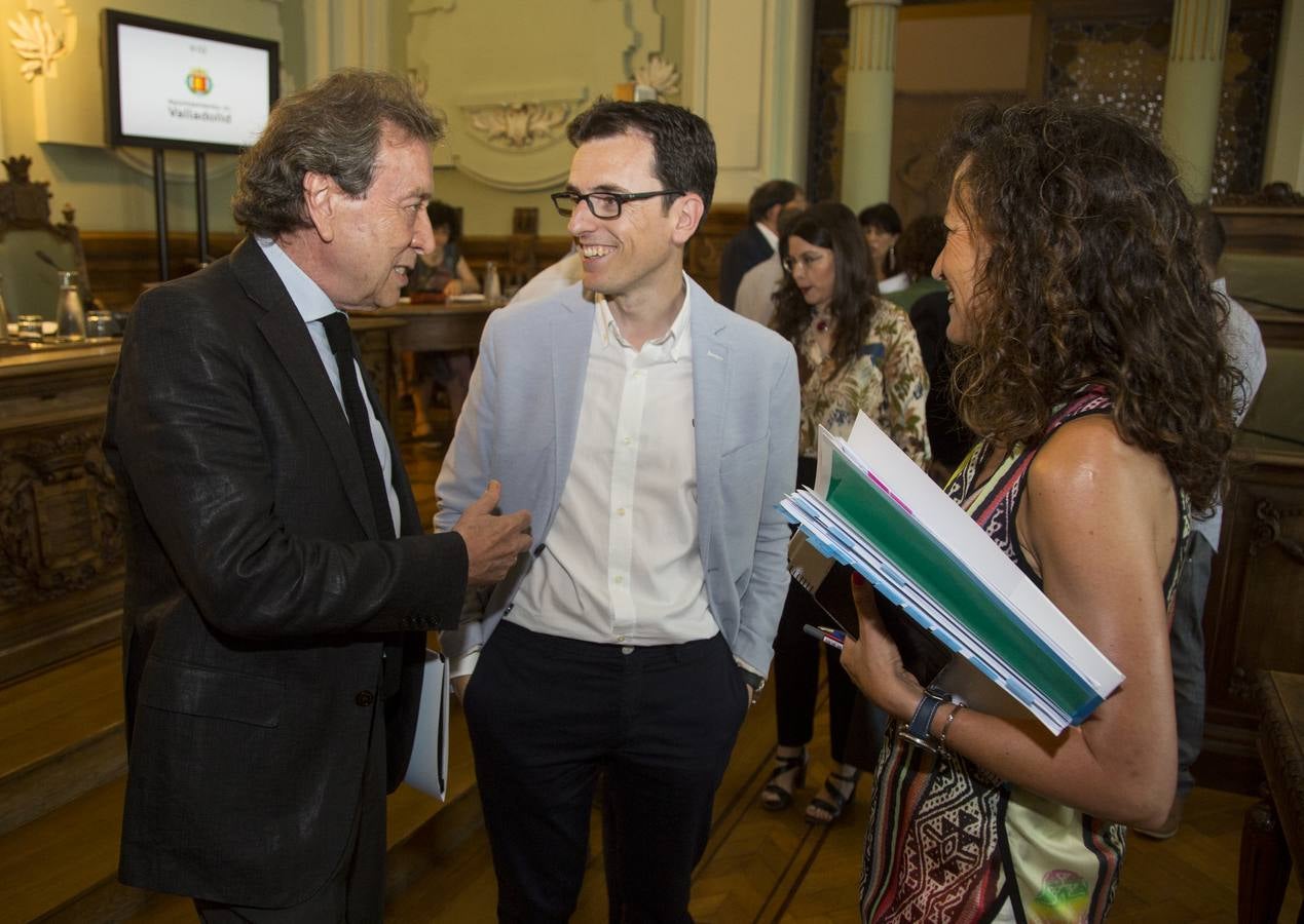 Fotos: Pleno en el Ayuntamiento de Valladolid