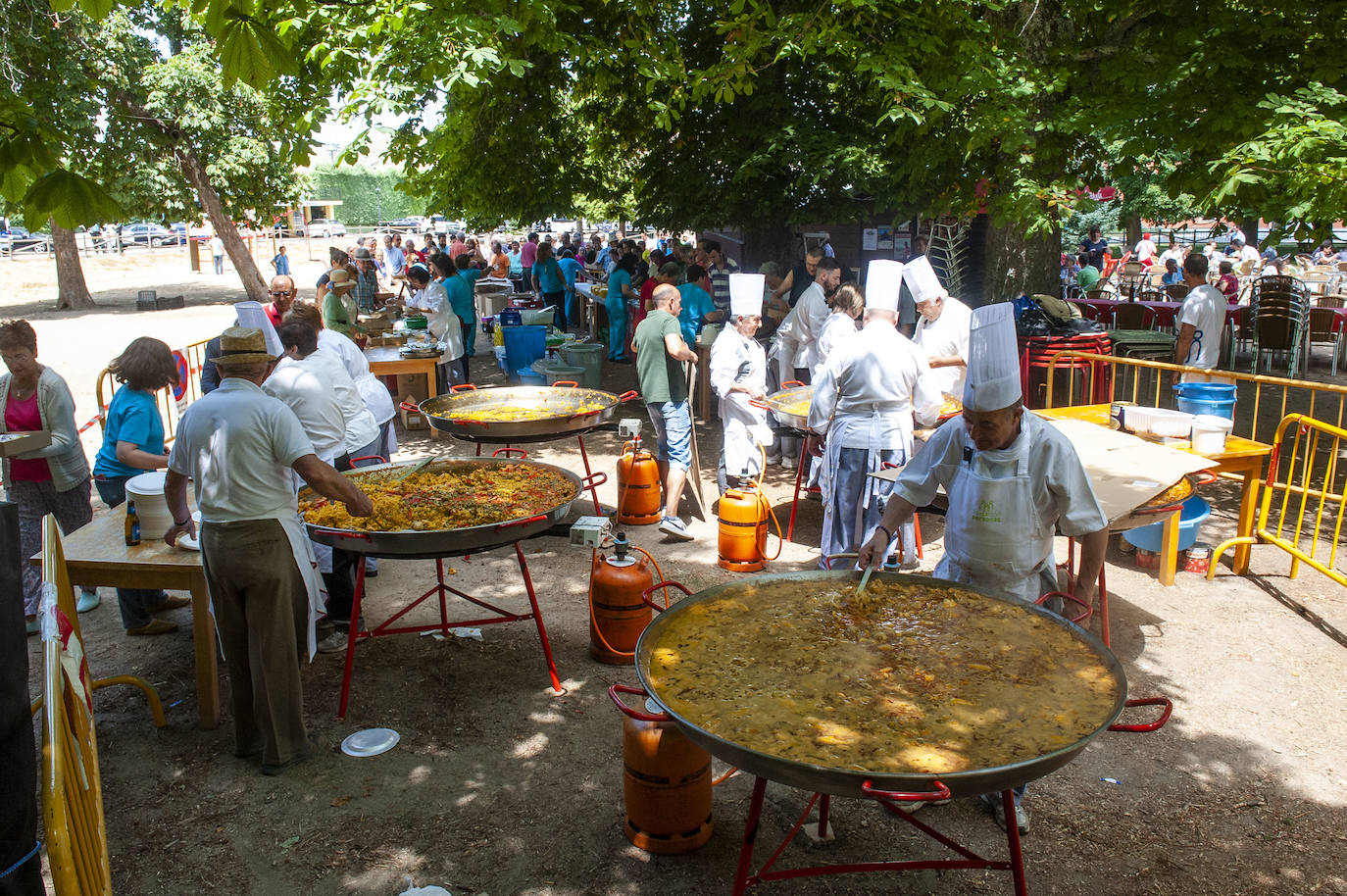 Fotos: Gran paella de Apadefim