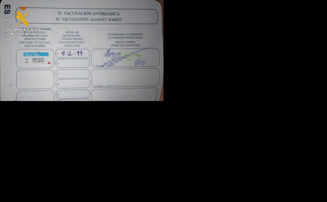 Imagen de la documentación falsificada. 