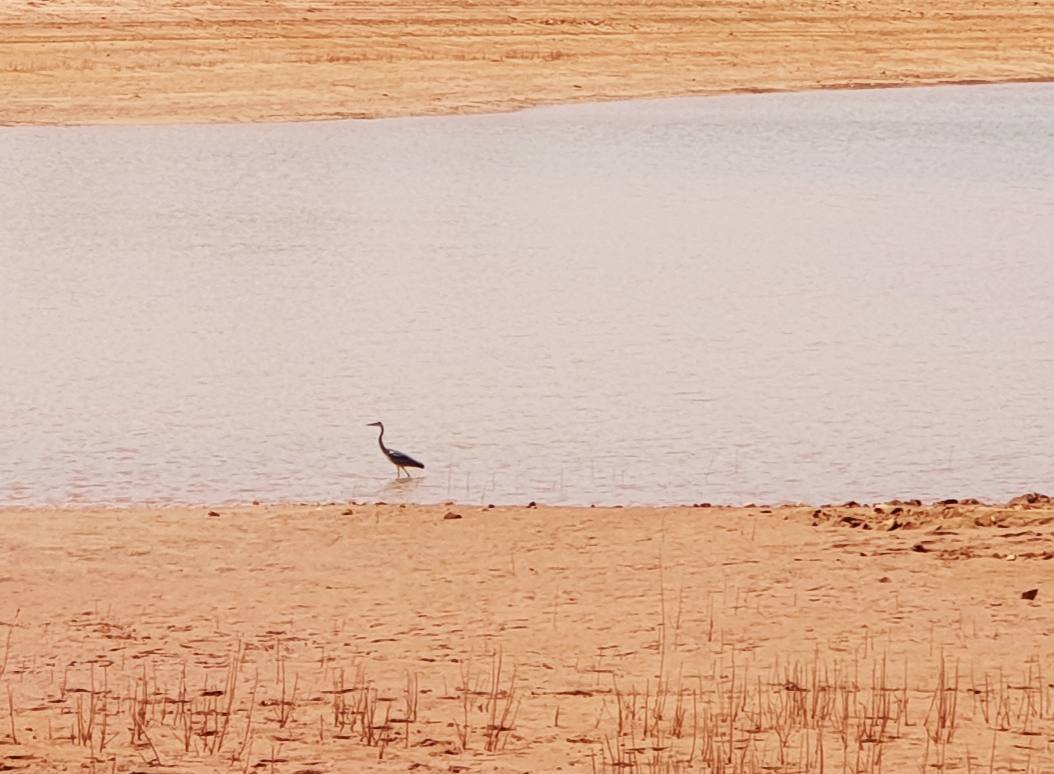 Fotos: La sequía produce estragos en el embalse de Aguilar de Campoo