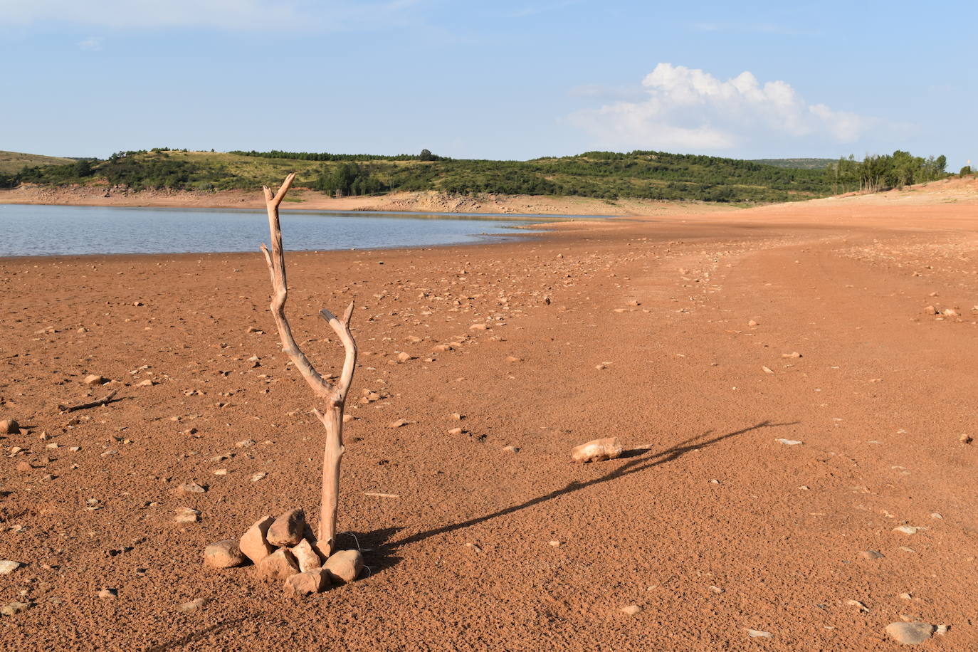 Fotos: La sequía produce estragos en el embalse de Aguilar de Campoo
