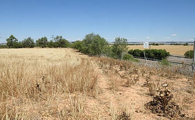 Terrenos en el plan parcial Prado Palacios, junto a la autovía A-62. 