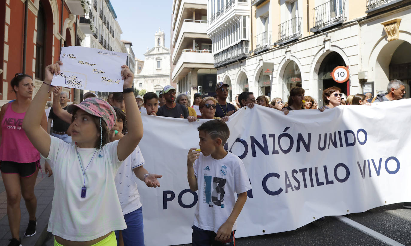 Fotos: Monzón se manifiesta por su castillo