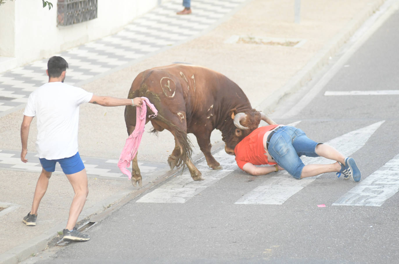 Un vecino de La Seca -F. S. de 45 años- ha resultado herido grave tras ser corneado en el encierro celebrado este sábado