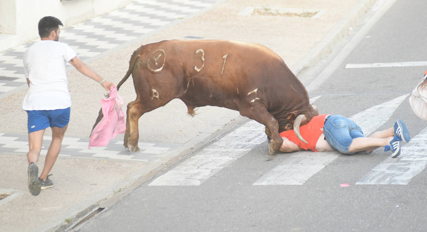 Un vecino de La Seca -F. S. de 45 años- ha resultado herido grave tras ser corneado en el encierro celebrado este sábado