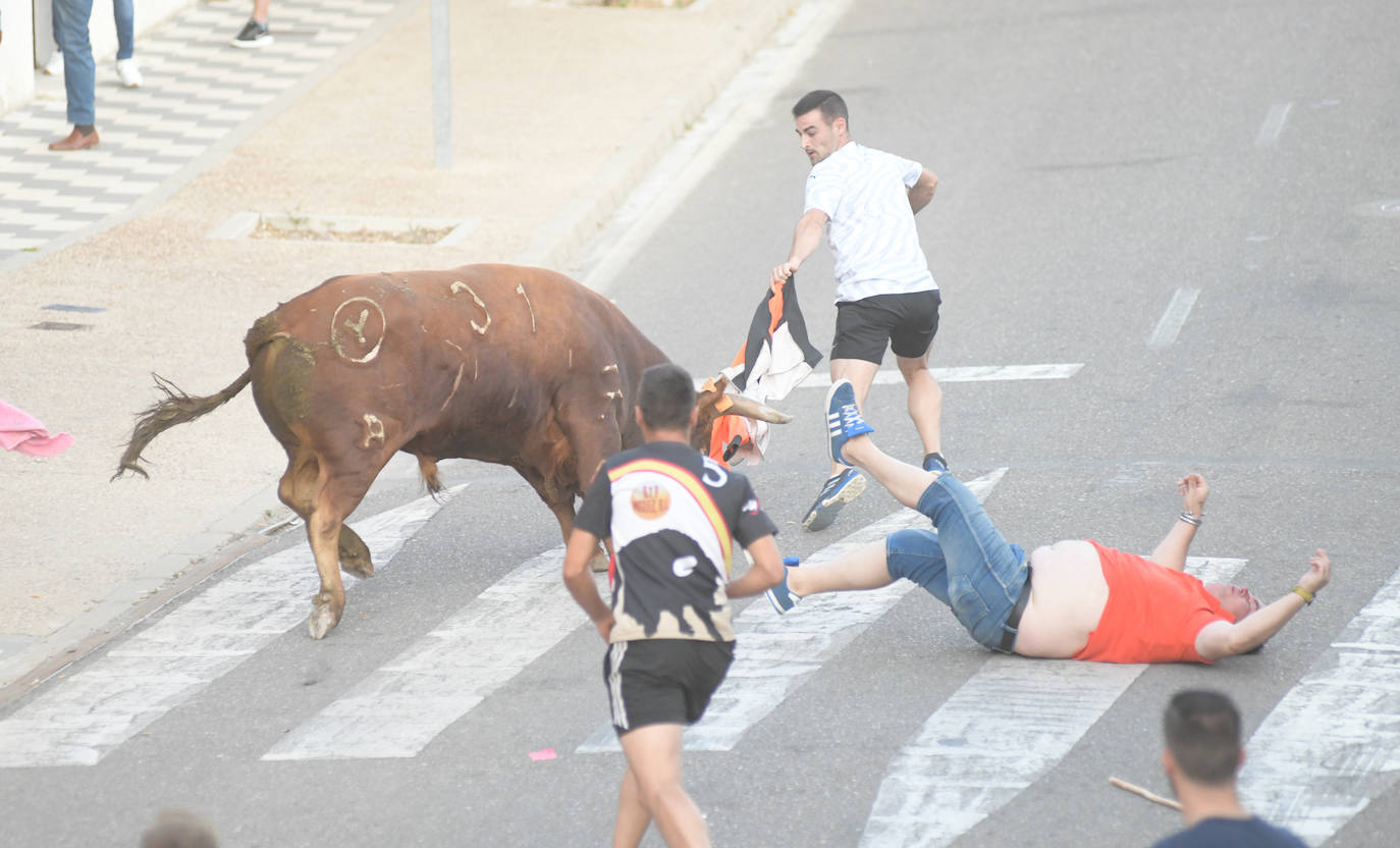 Un vecino de La Seca -F. S. de 45 años- ha resultado herido grave tras ser corneado en el encierro celebrado este sábado