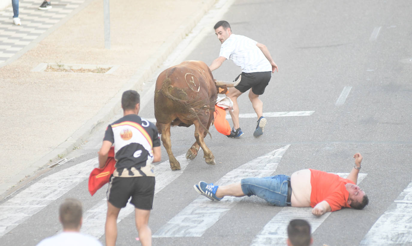 Un vecino de La Seca -F. S. de 45 años- ha resultado herido grave tras ser corneado en el encierro celebrado este sábado