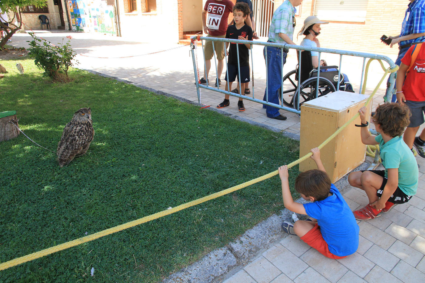 Fotos: XVII Fiesta del Sinodal de Aguilafuente