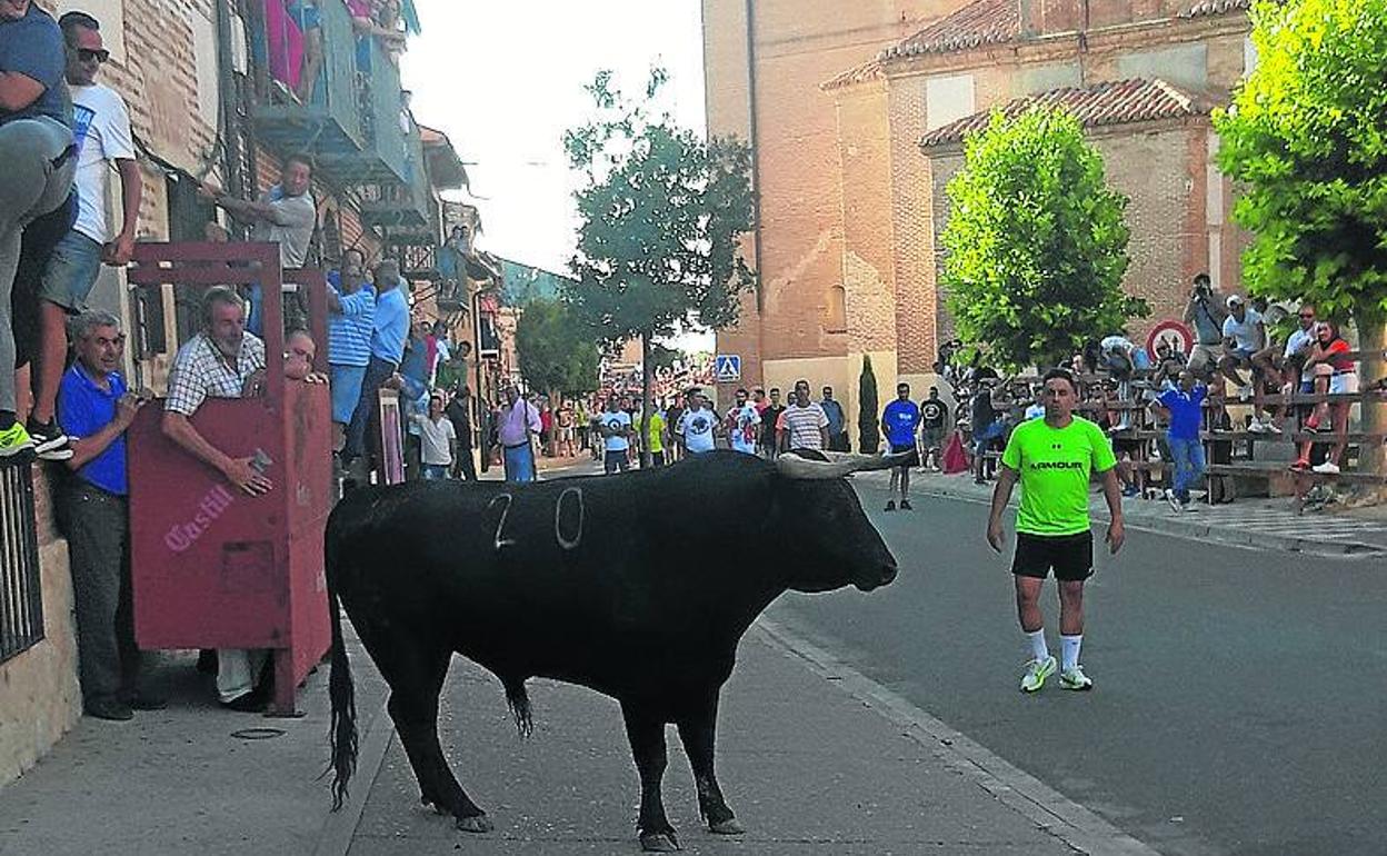 Los mozos disfrutaron del primer encierro de La Seca.