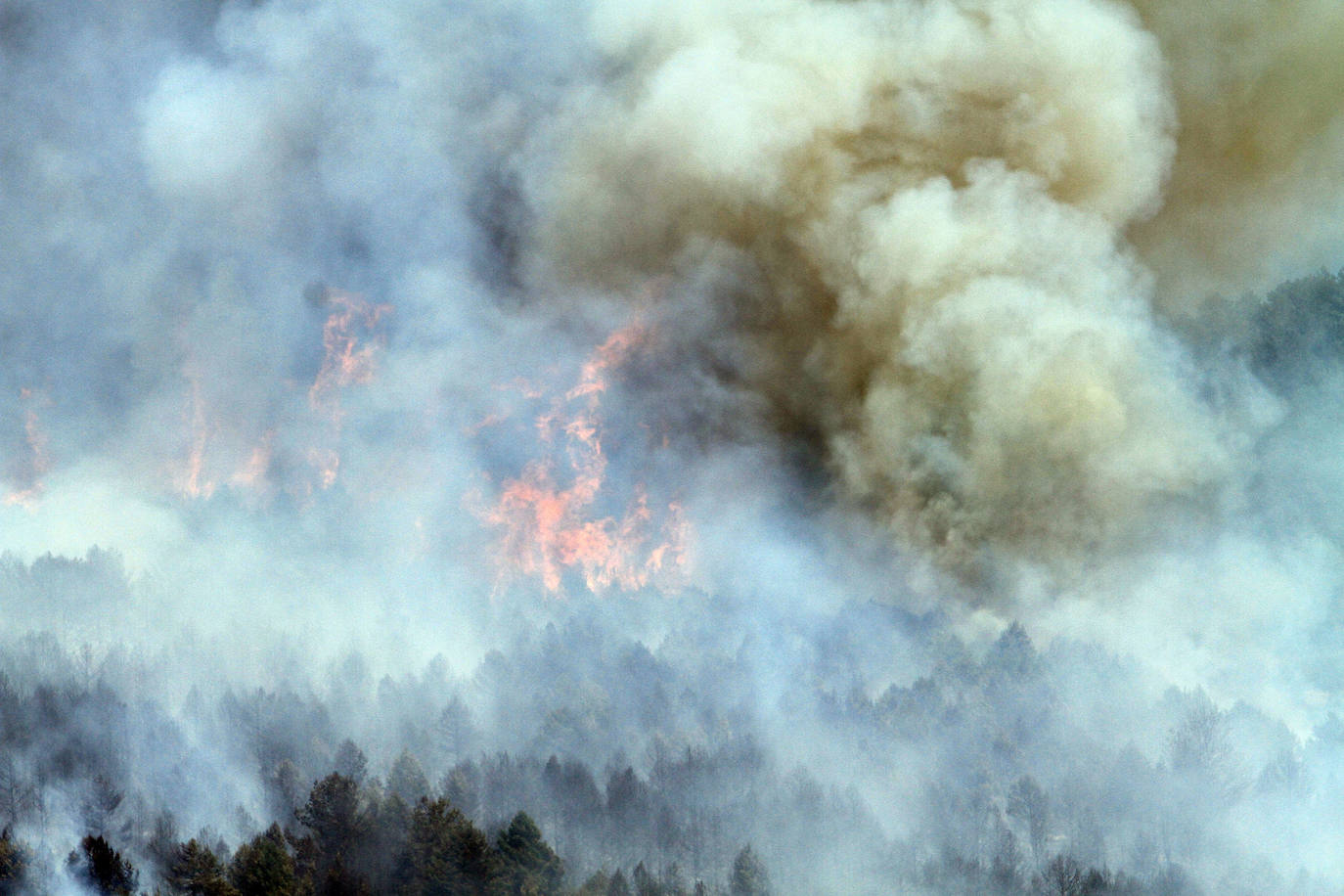 Fotos: LAS LLAMAS DEVORAN GUADARRAMA