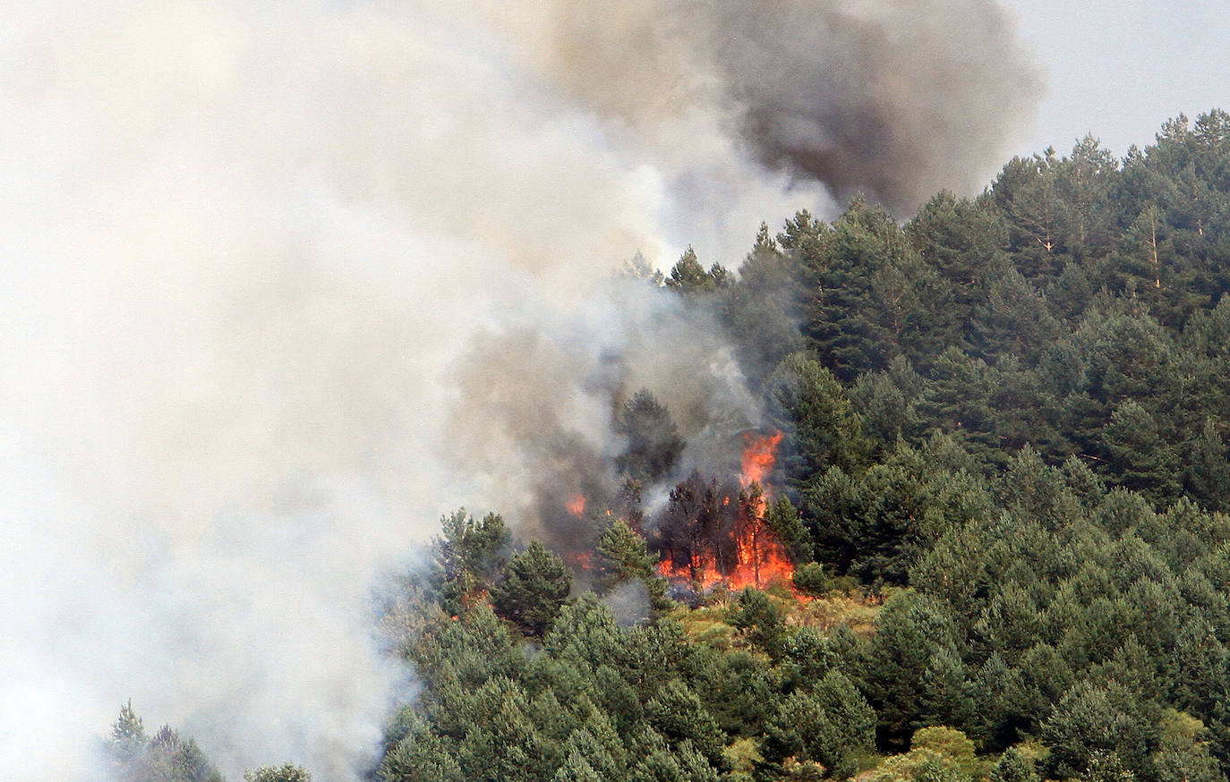 Fotos: LAS LLAMAS DEVORAN GUADARRAMA