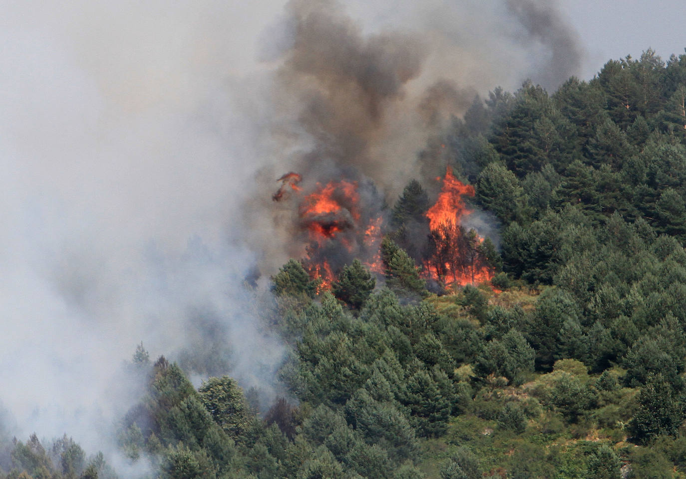 Fotos: LAS LLAMAS DEVORAN GUADARRAMA