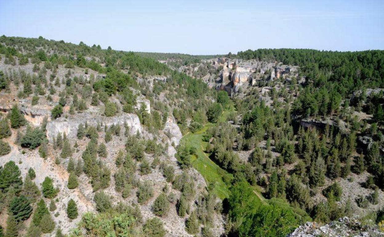 Cañón del Río Lobos.