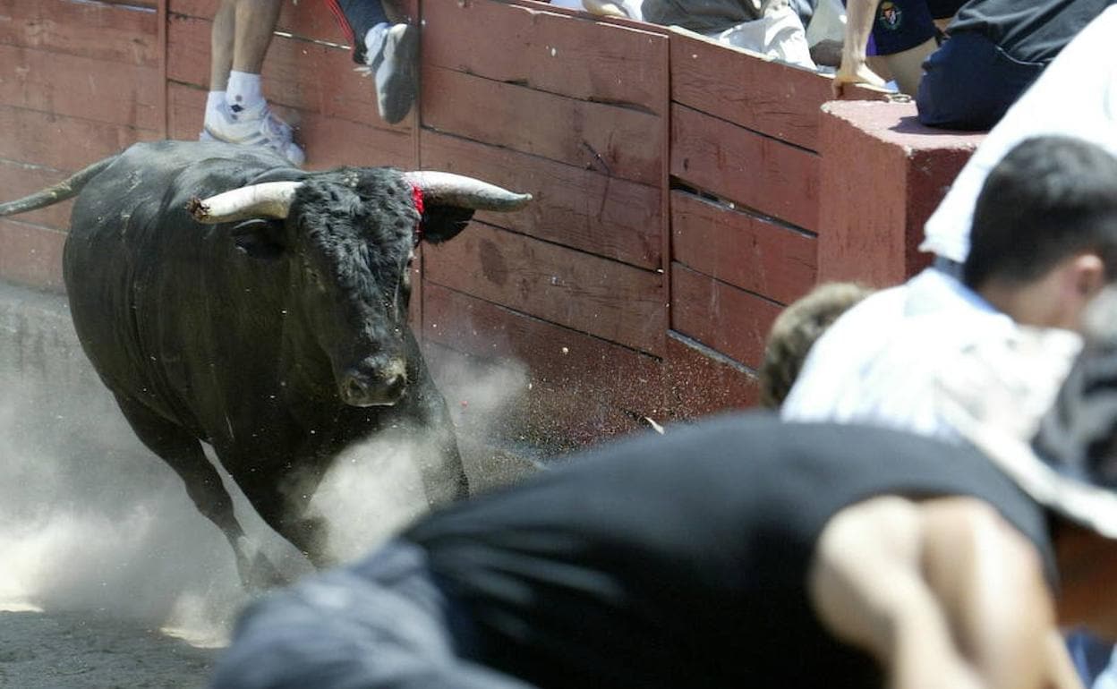 Programa de fiestas de Pollos