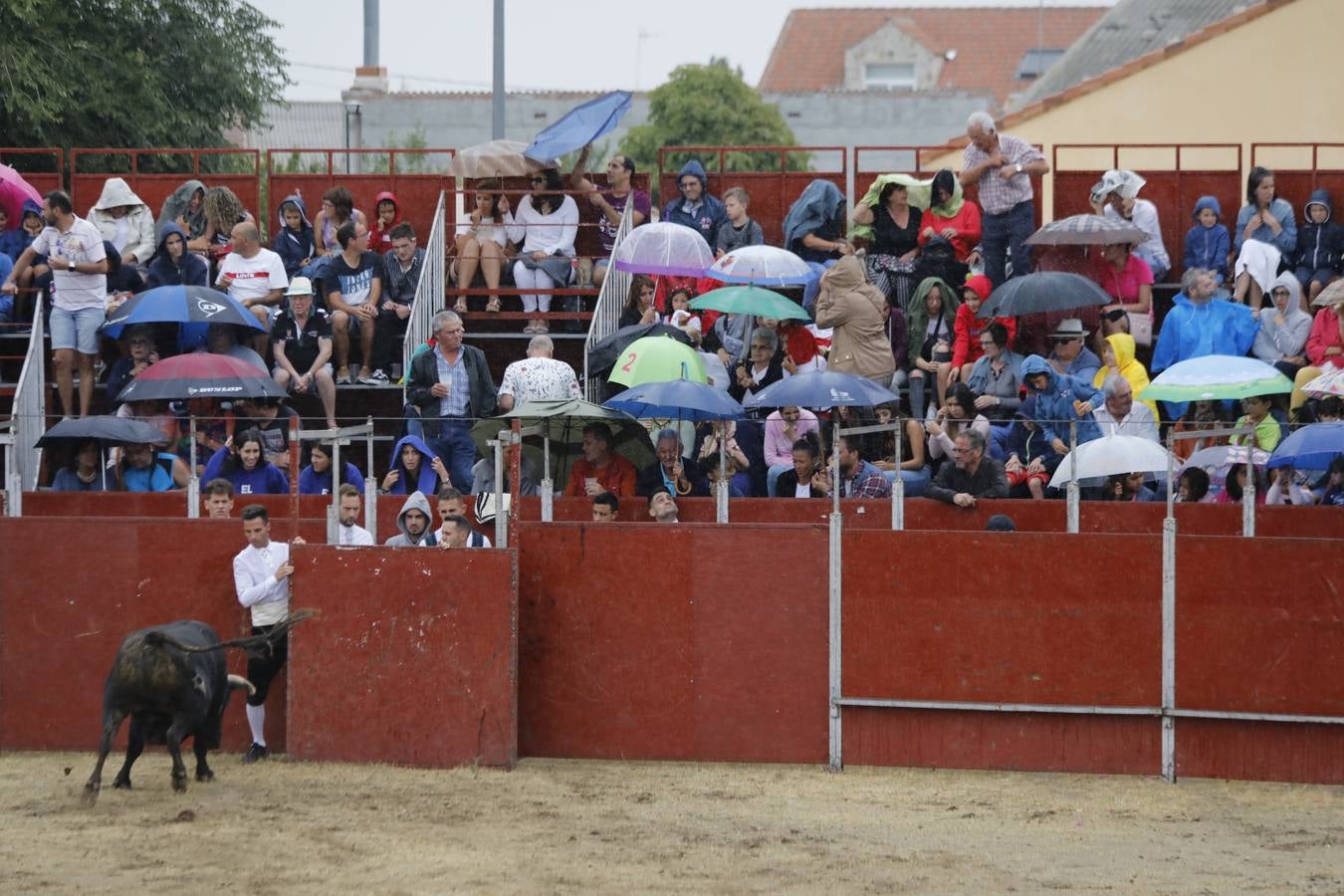 Fotos: La lluvia obliga a suspender el concurso de cortes de Campaspero