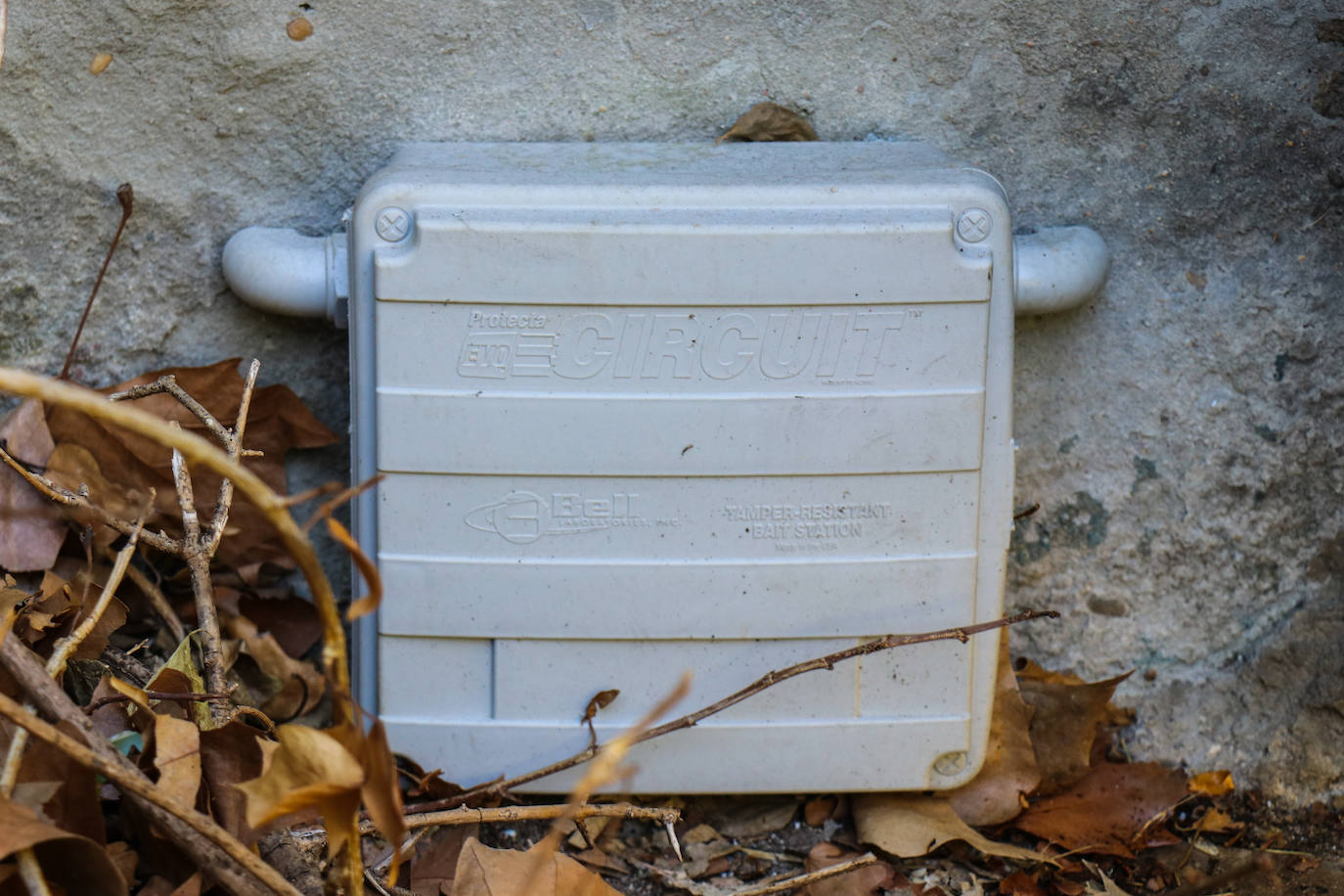 Organizados en equipos de tres miembros con turnos rotativos, debido al desgaste de la actividad, la brigada planifica el despliegue de su campaña en relación a las denuncias recogidas por el teléfono de atención al ciudadano 010 y la observación directa de sus operarios.