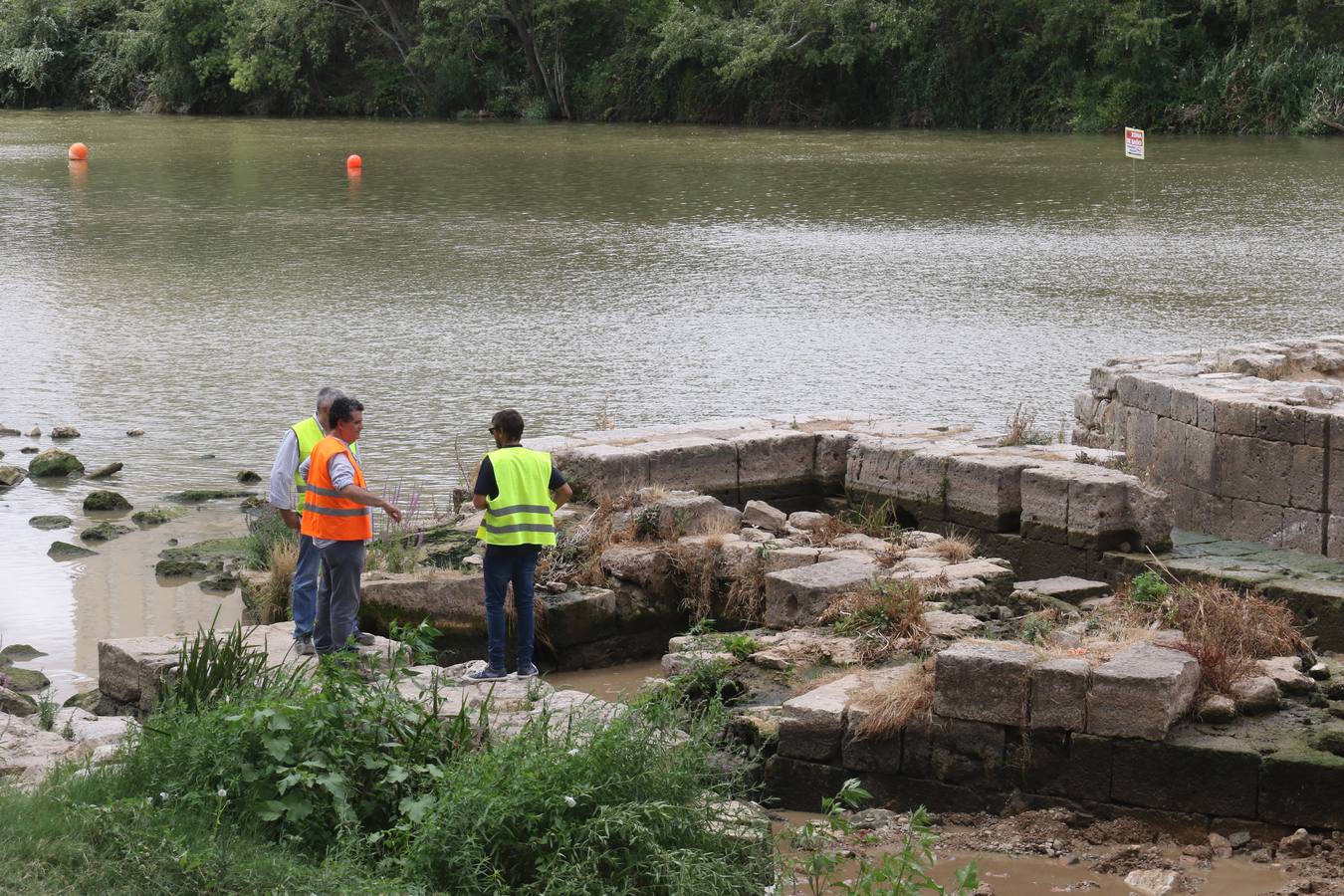 Unos operarios revisan parte de las piedras de los molinos.