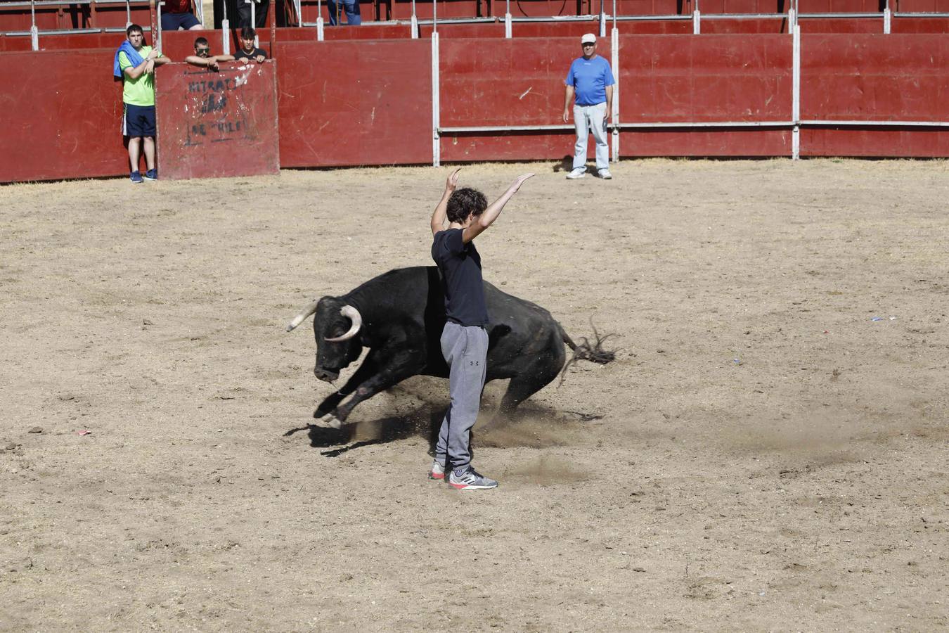 La capea fue entretenida gracias al ganado y a un grupo de cortadores, que no cesaron en su intento hasta lograr unos buenos cortes