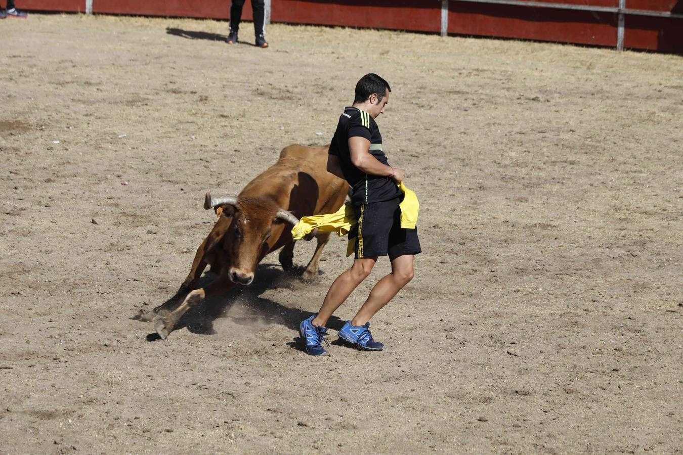 La capea fue entretenida gracias al ganado y a un grupo de cortadores, que no cesaron en su intento hasta lograr unos buenos cortes