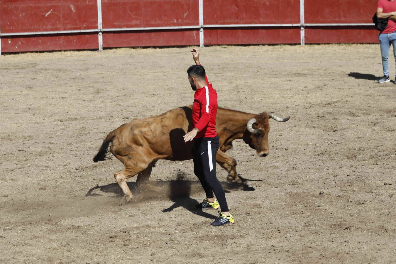 La capea fue entretenida gracias al ganado y a un grupo de cortadores, que no cesaron en su intento hasta lograr unos buenos cortes