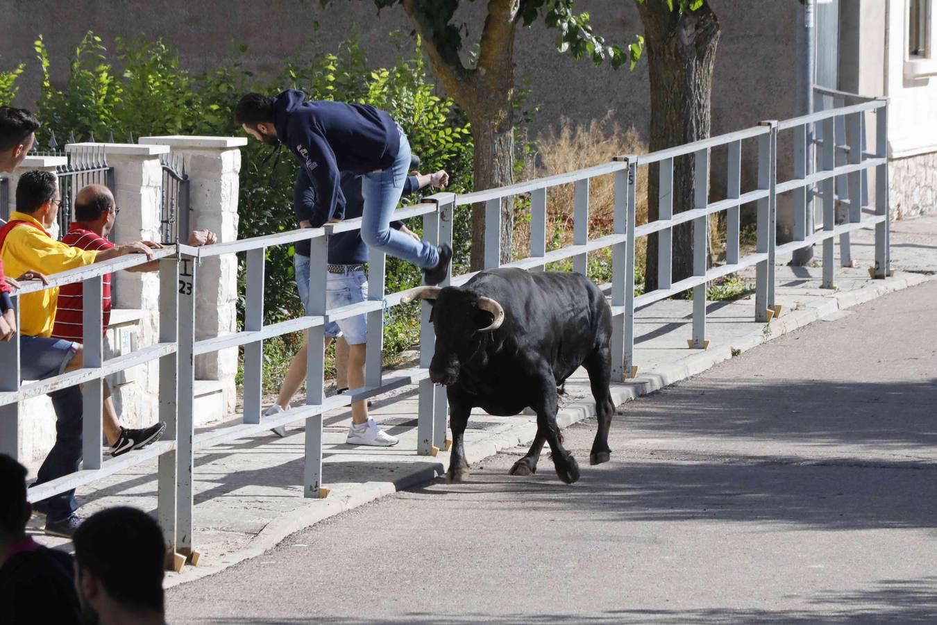 La capea fue entretenida gracias al ganado y a un grupo de cortadores, que no cesaron en su intento hasta lograr unos buenos cortes