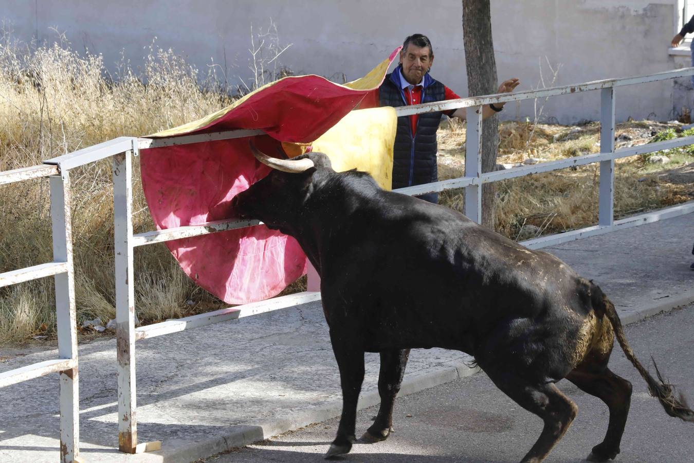 La capea fue entretenida gracias al ganado y a un grupo de cortadores, que no cesaron en su intento hasta lograr unos buenos cortes