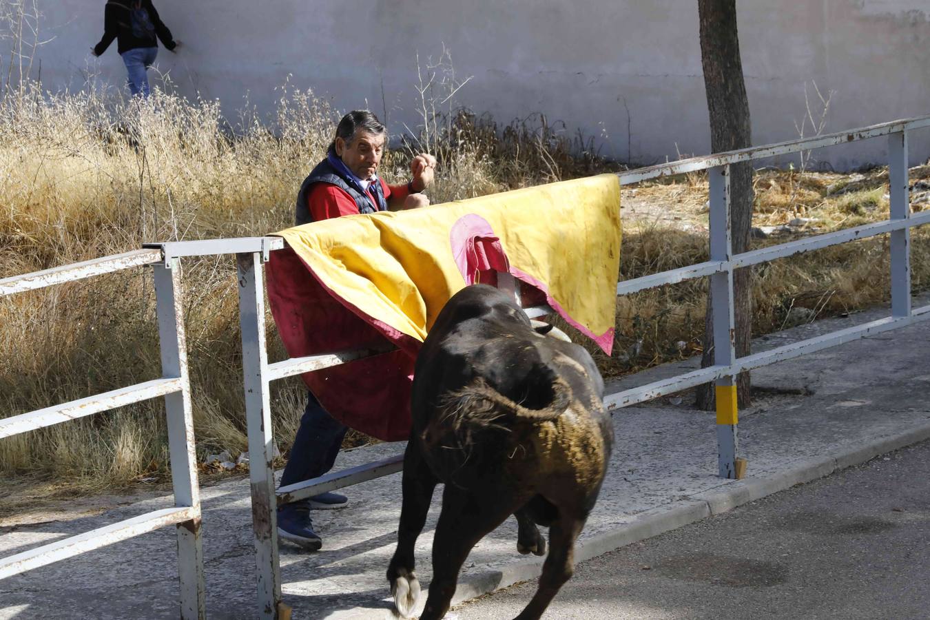 La capea fue entretenida gracias al ganado y a un grupo de cortadores, que no cesaron en su intento hasta lograr unos buenos cortes