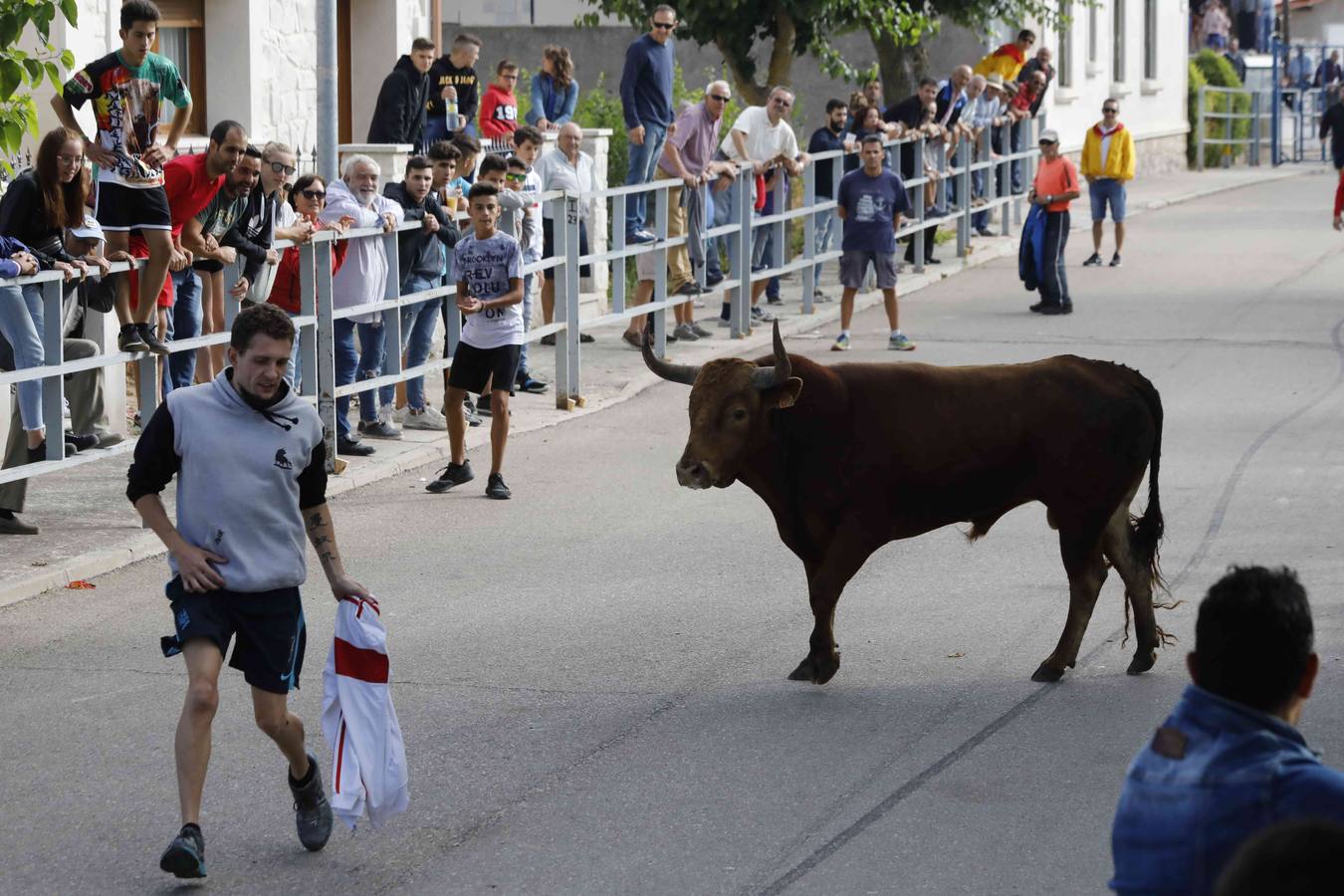 La capea fue entretenida gracias al ganado y a un grupo de cortadores, que no cesaron en su intento hasta lograr unos buenos cortes