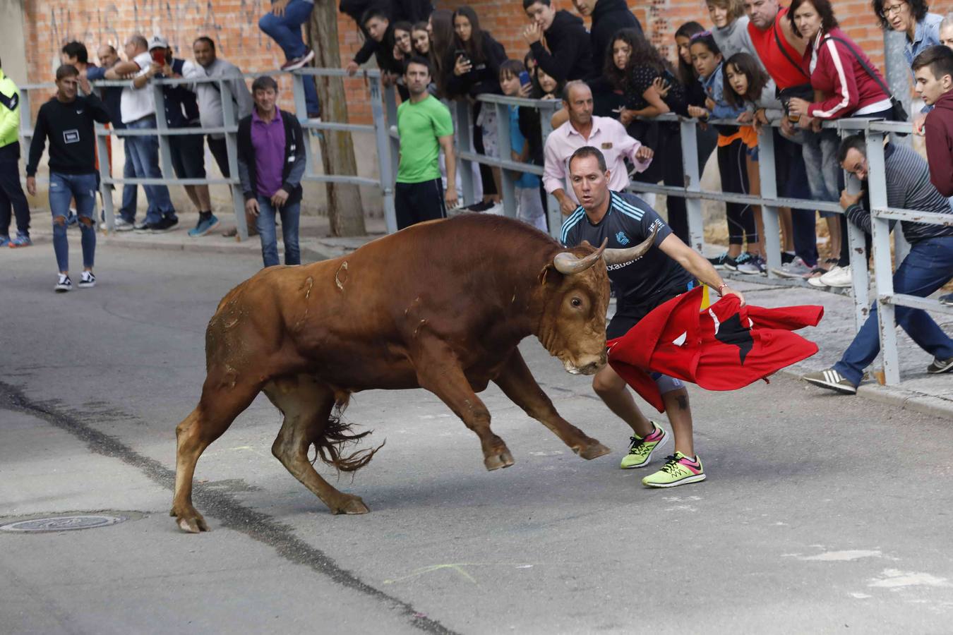 La capea fue entretenida gracias al ganado y a un grupo de cortadores, que no cesaron en su intento hasta lograr unos buenos cortes