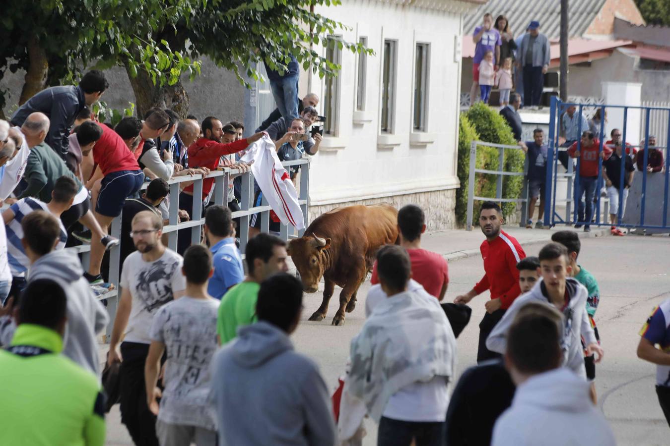 La capea fue entretenida gracias al ganado y a un grupo de cortadores, que no cesaron en su intento hasta lograr unos buenos cortes