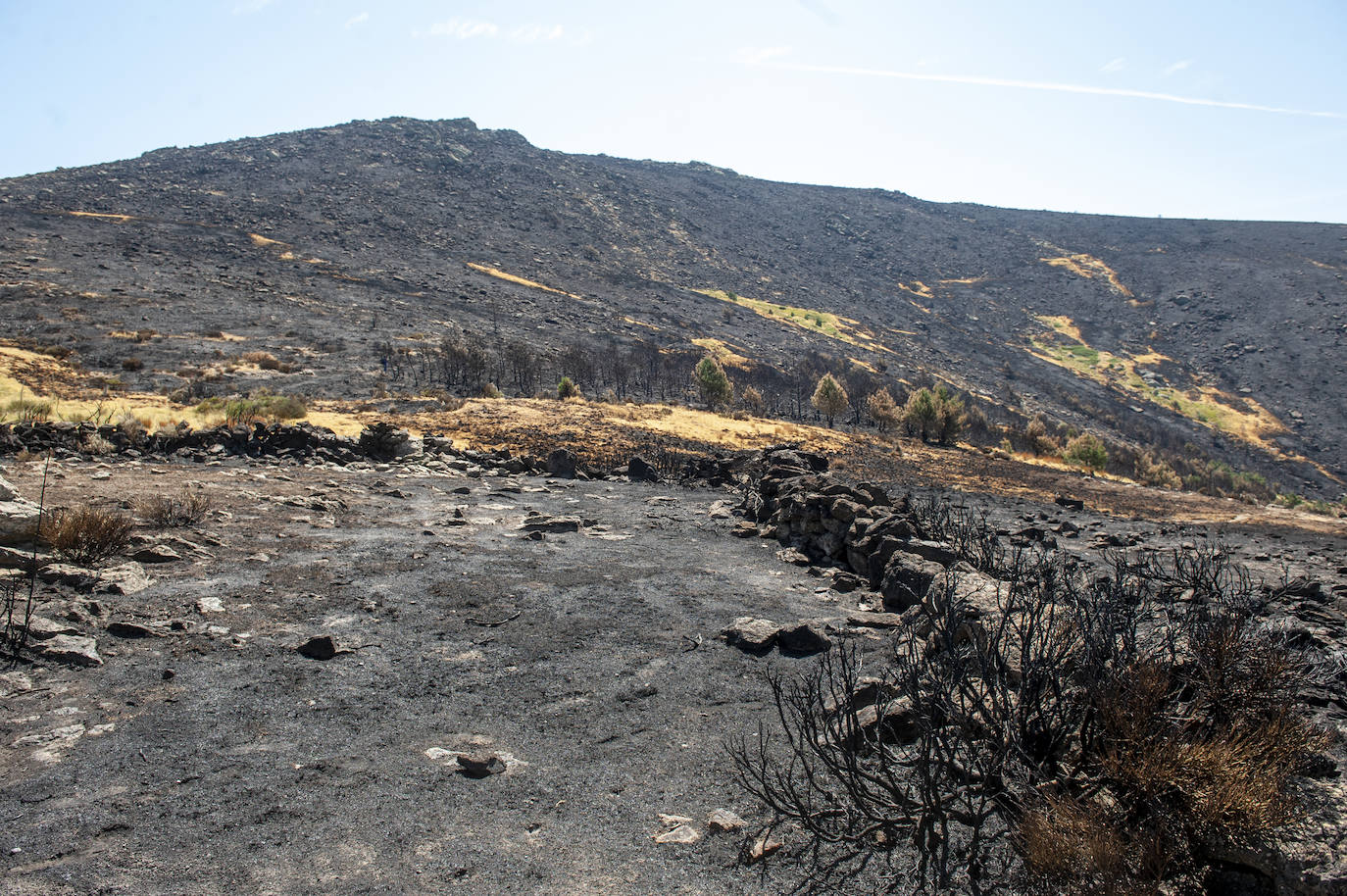 Recorrido por la devastación natural de una parte de la sierra de Guadarrama que ha quedado arrasada por las llamas del incendio que se declaró en La Granja hace nueve días