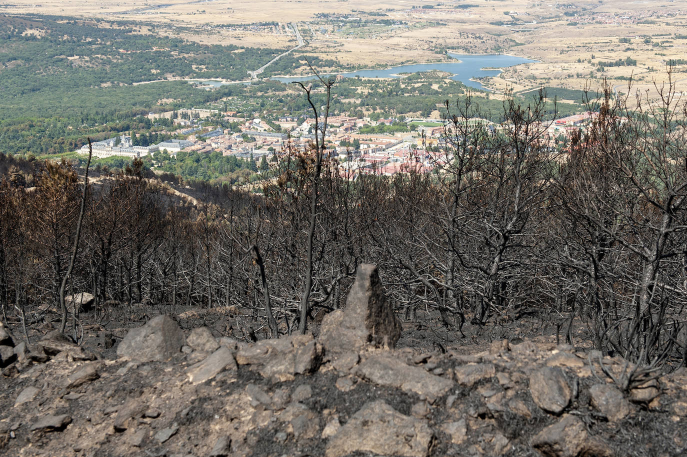 Recorrido por la devastación natural de una parte de la sierra de Guadarrama que ha quedado arrasada por las llamas del incendio que se declaró en La Granja hace nueve días