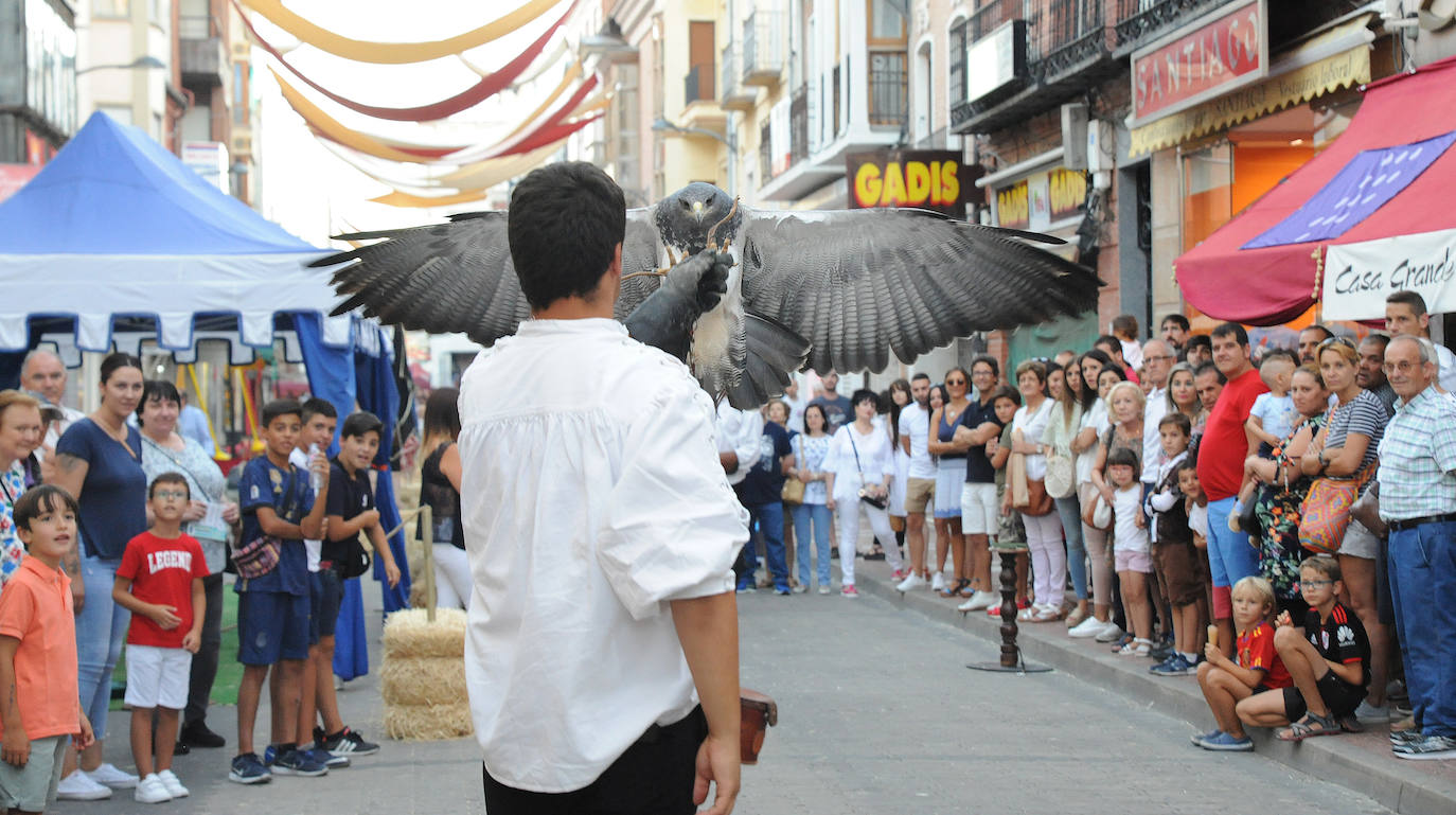 Fotos: Feria Renacentista de Medina del Campo