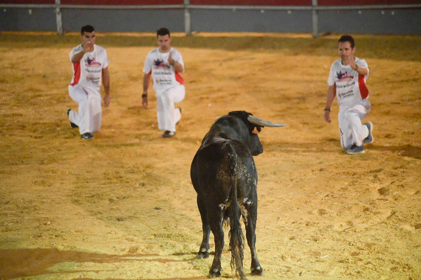 Fotos: Concurso de Cortes de Rueda