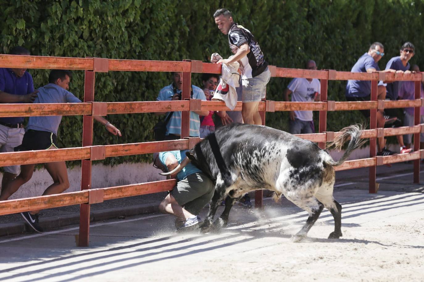 Fotos: Susto en el encierro de Viana de Cega