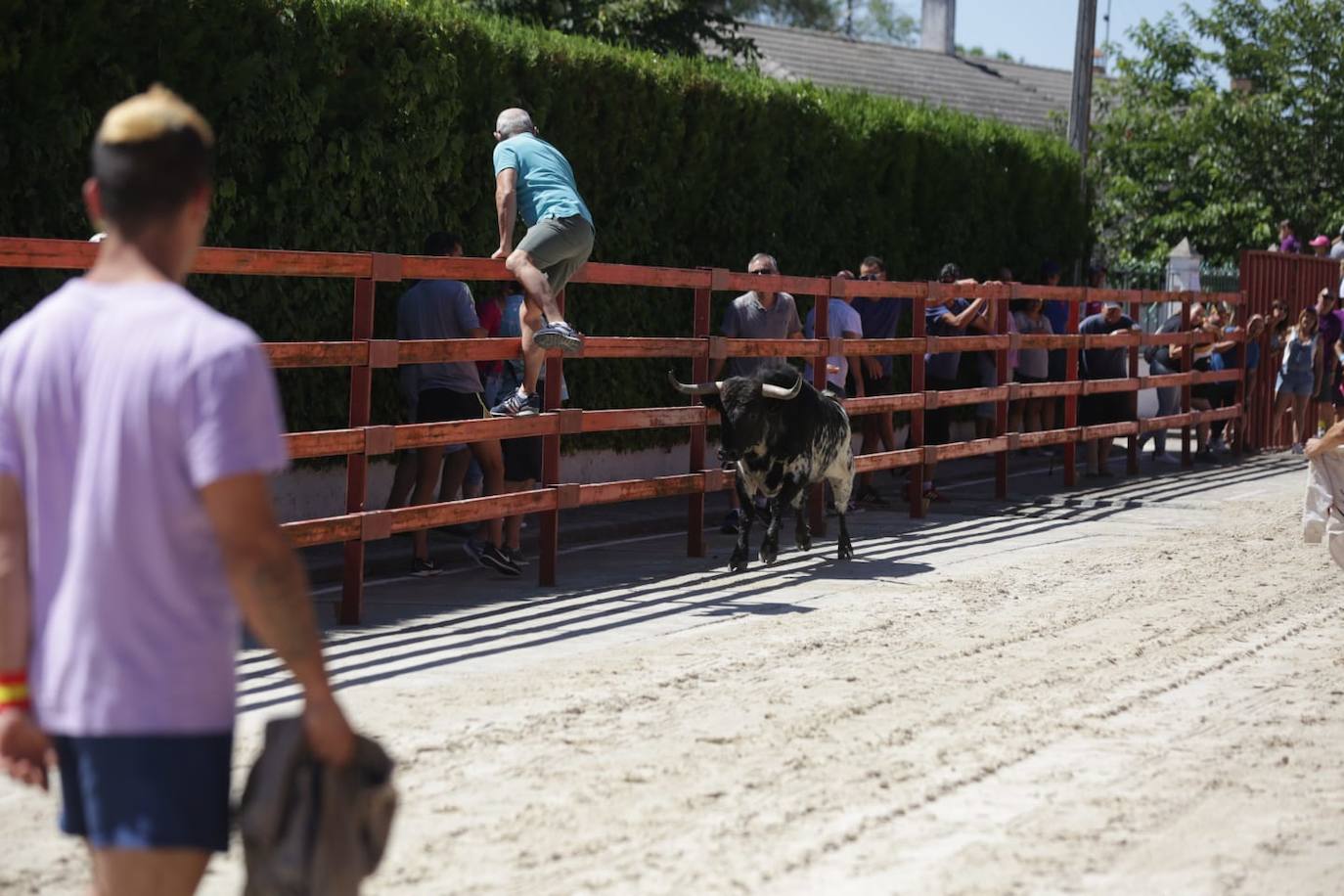 Fotos: Susto en el encierro de Viana de Cega