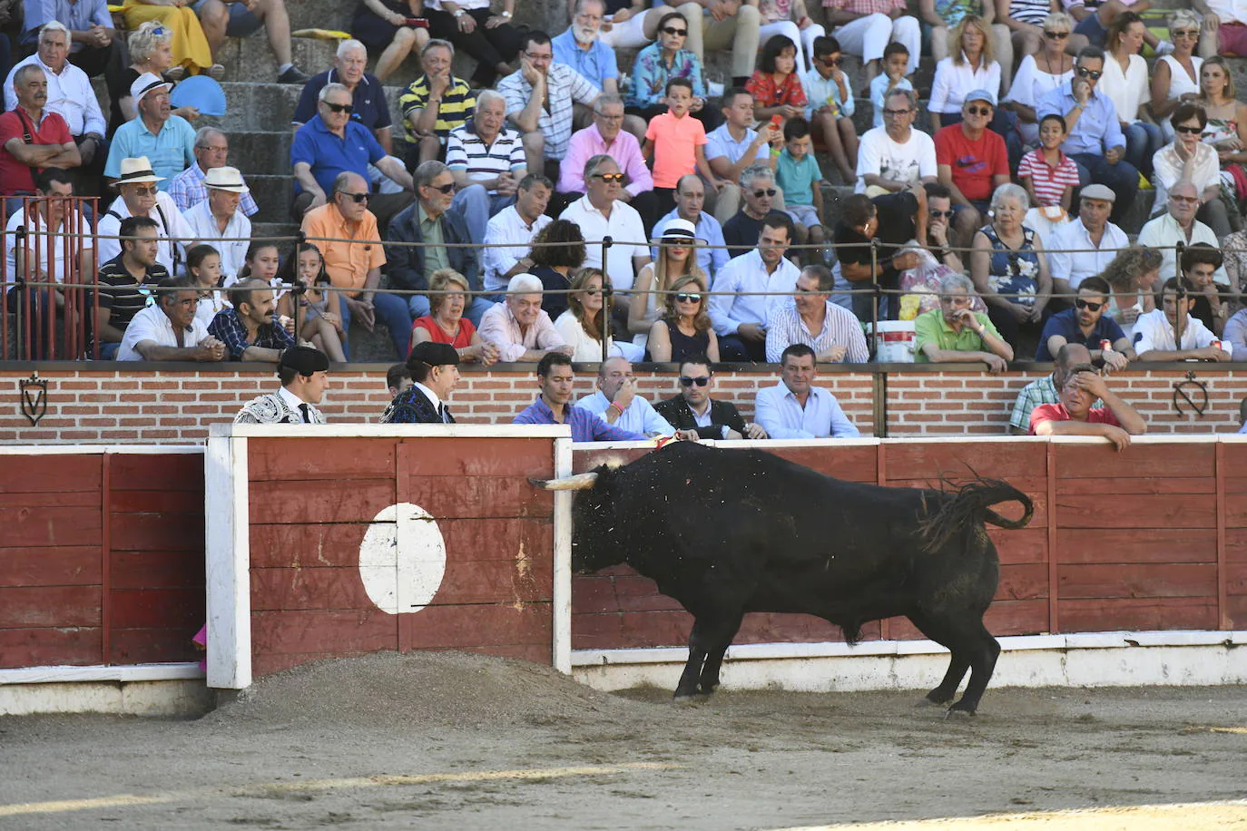 Fotos: Novillada en El Espinar