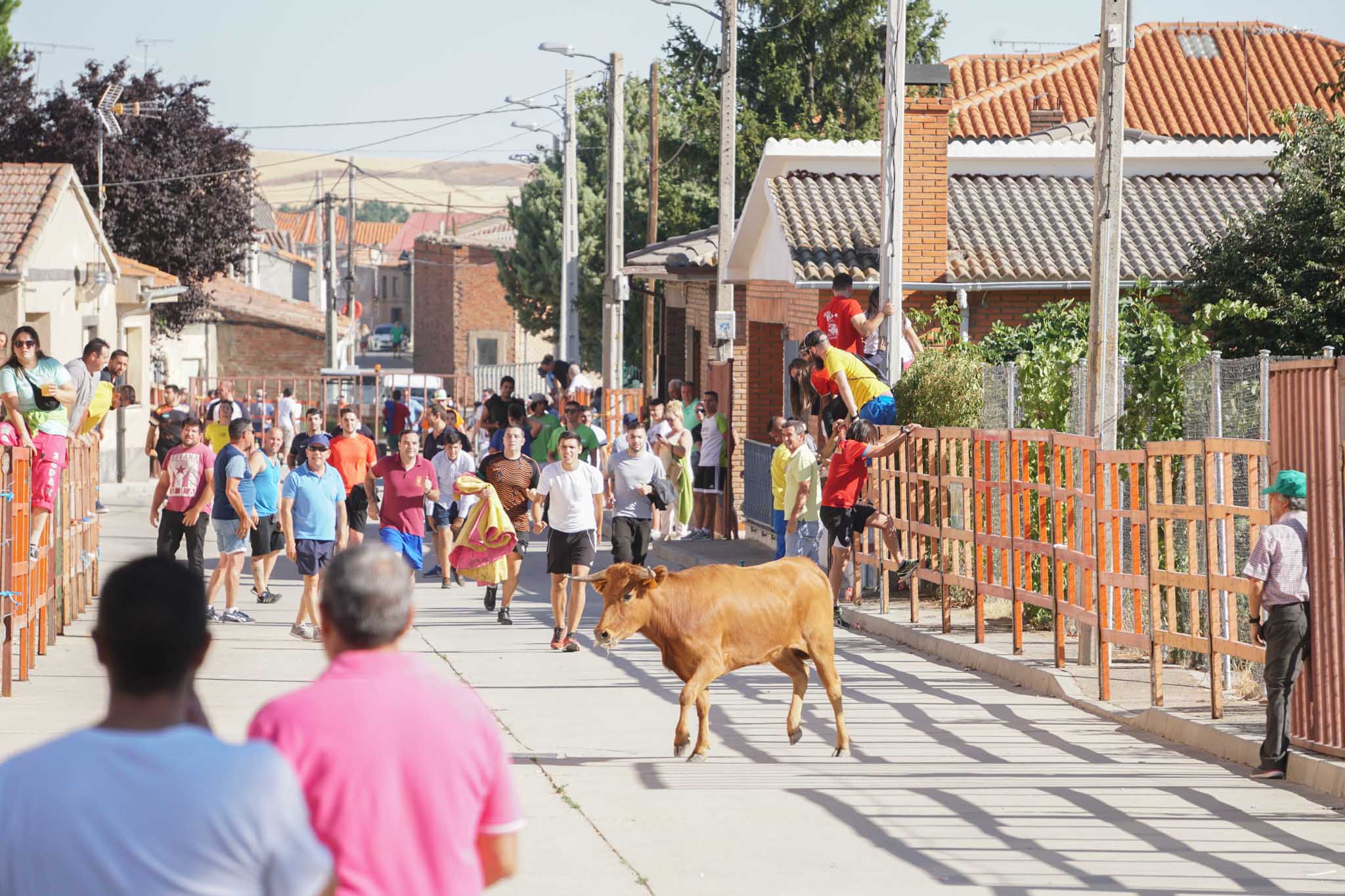 Fotos: Encierro urbano de Cantalpino