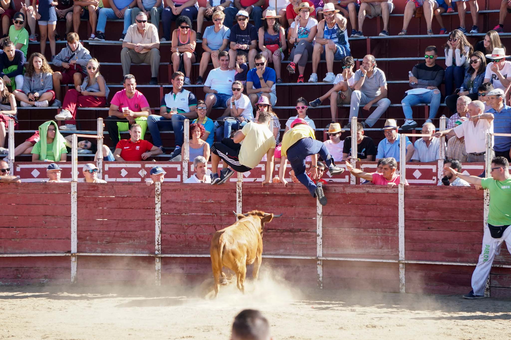 Fotos: Encierro urbano de Cantalpino