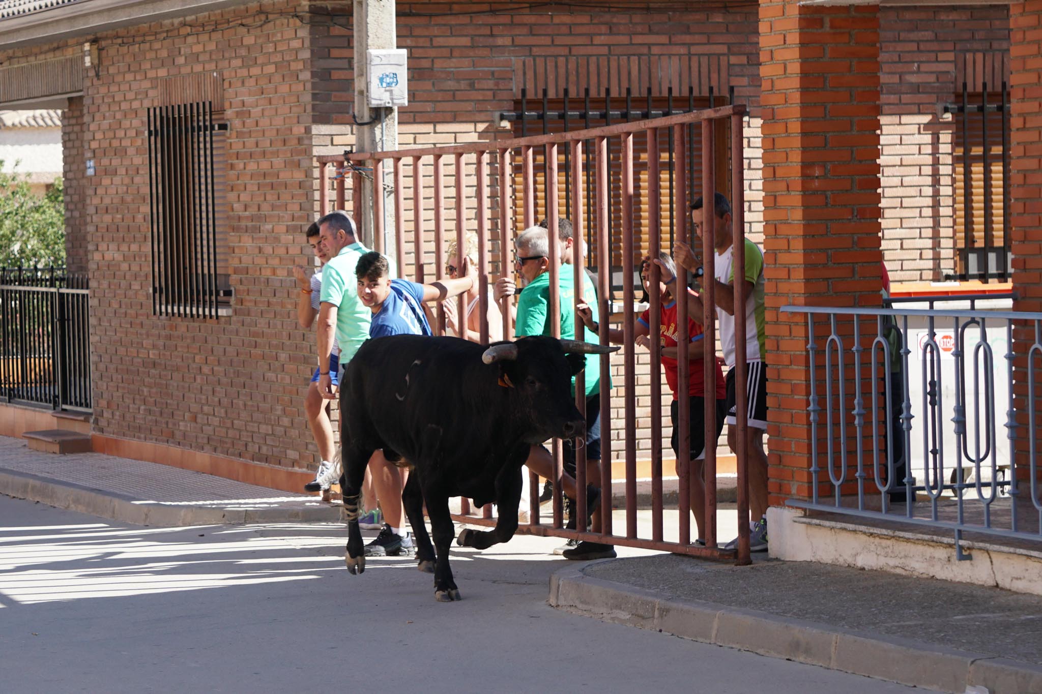 Fotos: Encierro urbano de Cantalpino