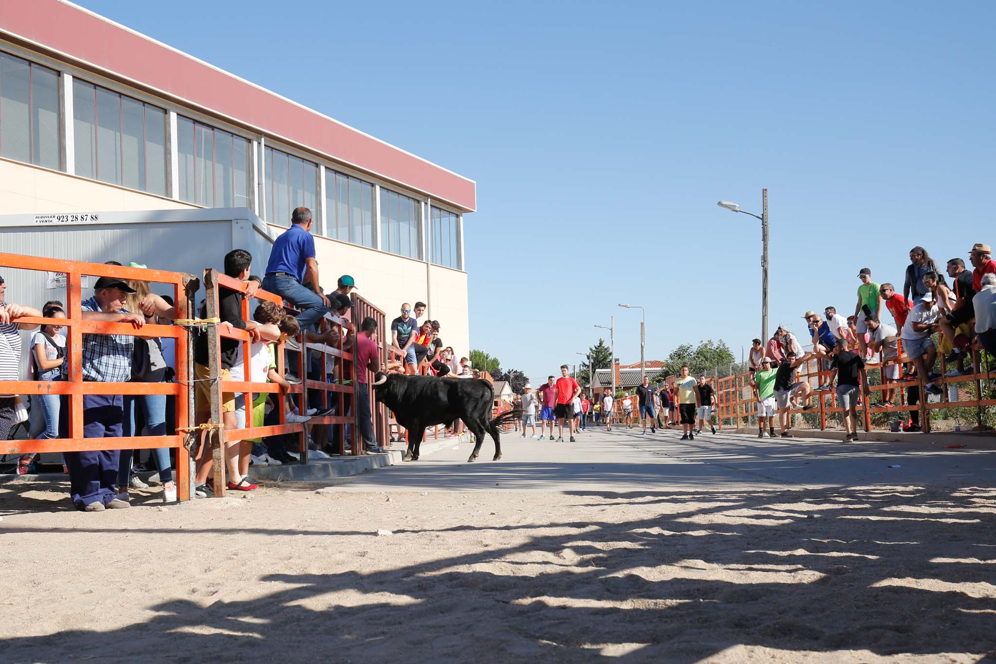 Fotos: Encierro urbano de Cantalpino