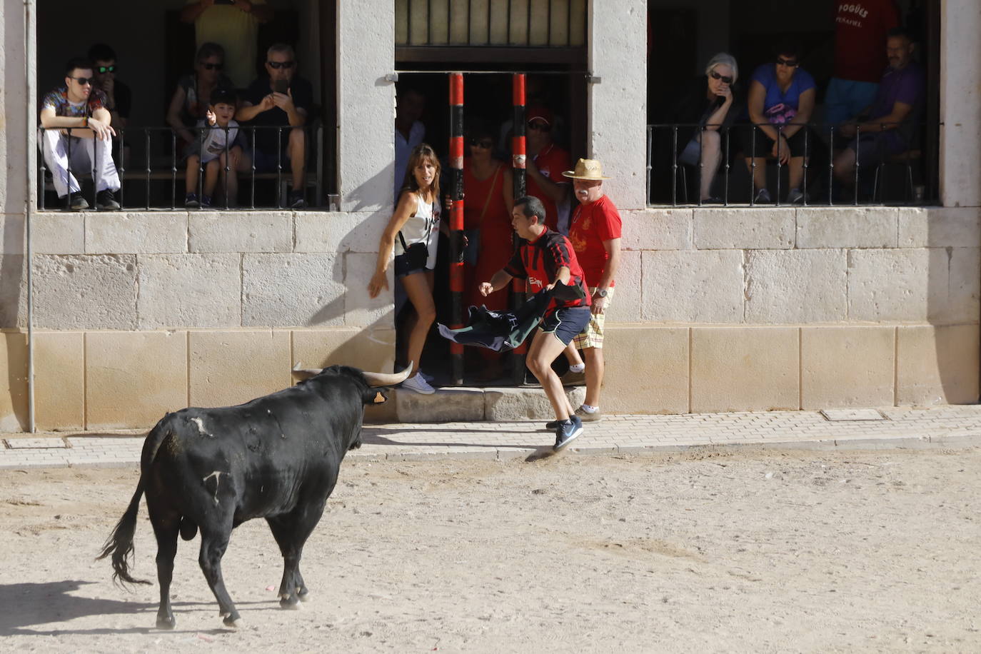 Fotos: Segundo encierro y capea matinal en Peñafiel