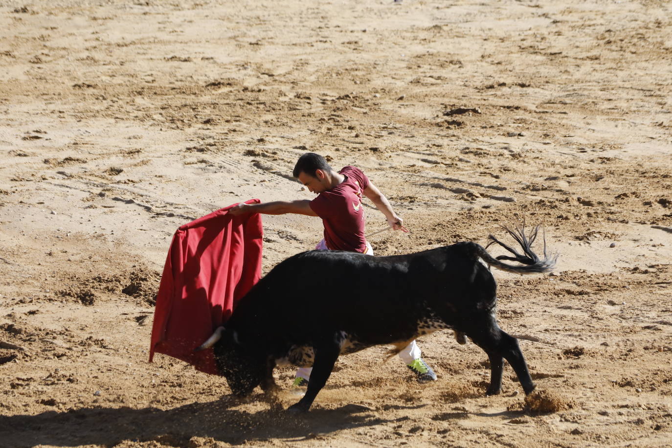 Fotos: Segundo encierro y capea matinal en Peñafiel