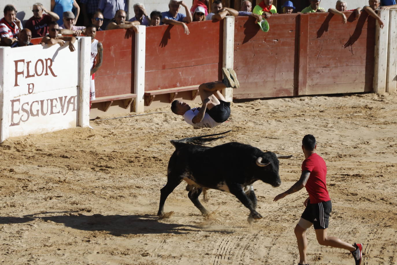 Fotos: Segundo encierro y capea matinal en Peñafiel