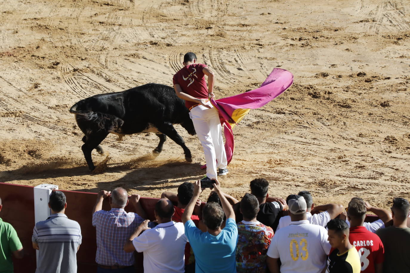 Fotos: Segundo encierro y capea matinal en Peñafiel