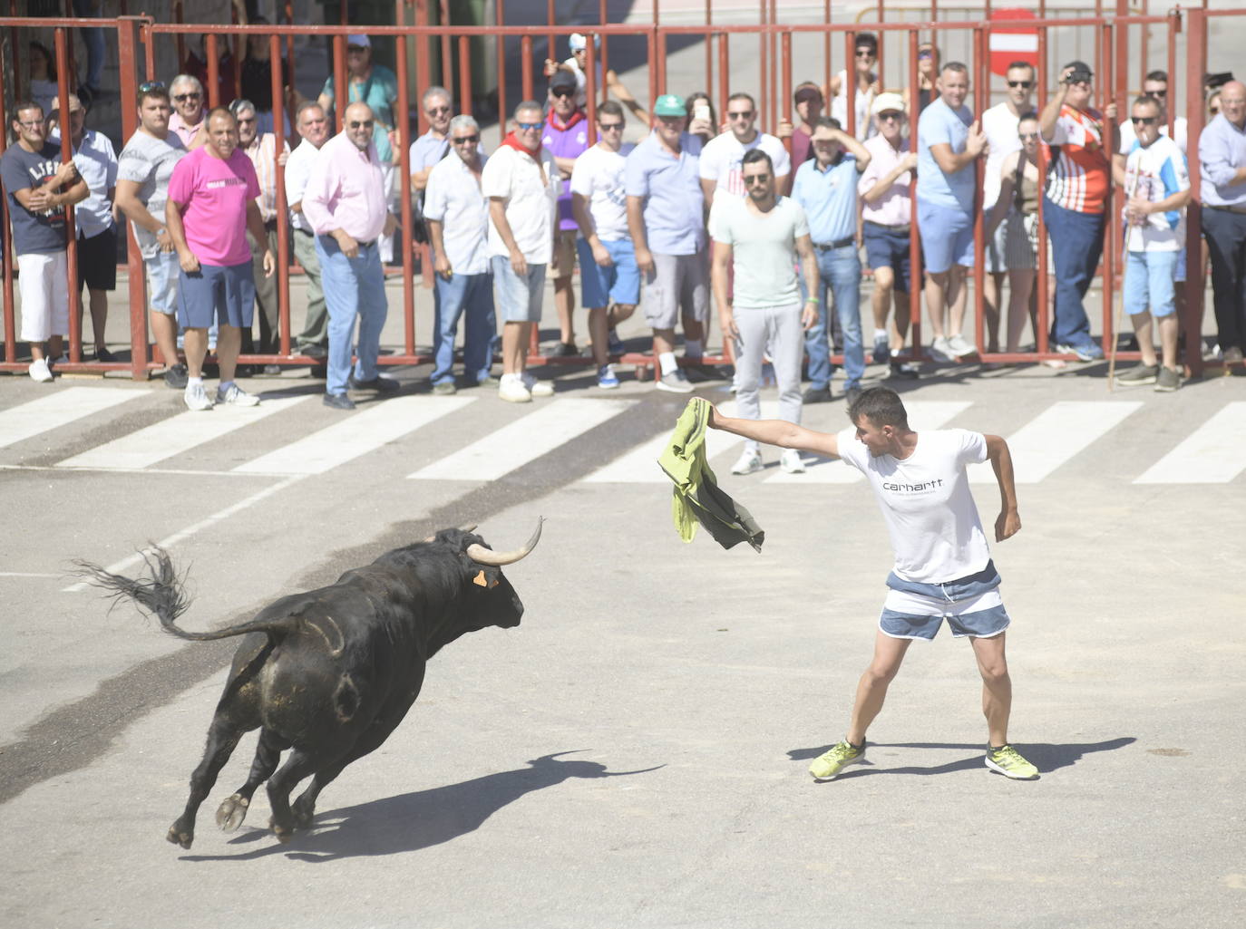 Fotos: Cuarto encierro de las fiestas de Rueda 2019