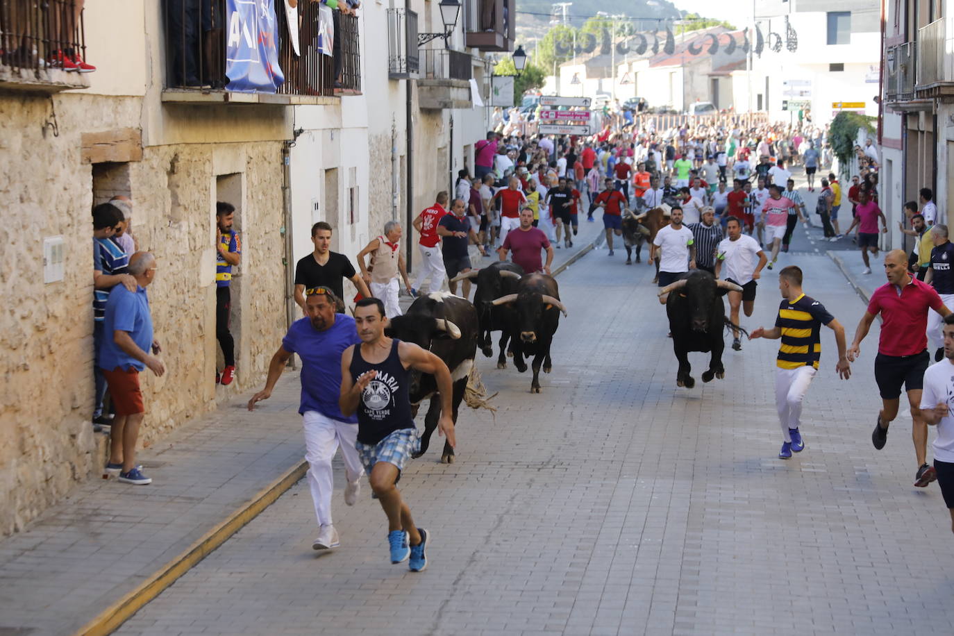 Fotos: Encierro y capea matutina del sábado en Peñafiel